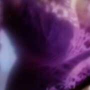 ヒメ日記 2026/03/13 00:05 投稿 初音 おふくろ