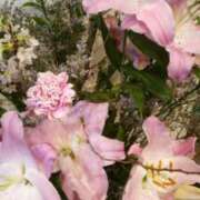 ヒメ日記 2026/03/14 10:05 投稿 初音 おふくろ