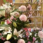 ヒメ日記 2026/03/14 23:54 投稿 初音 おふくろ