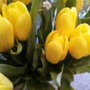 ヒメ日記 2026/03/24 11:15 投稿 初音 おふくろ