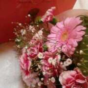 ヒメ日記 2026/03/27 16:14 投稿 初音 おふくろ