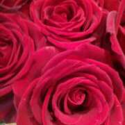 ヒメ日記 2026/03/28 21:13 投稿 初音 おふくろ