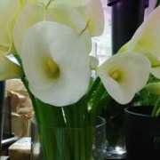 ヒメ日記 2026/03/30 09:32 投稿 初音 おふくろ