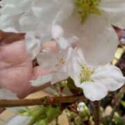 ヒメ日記 2026/03/31 10:56 投稿 初音 おふくろ