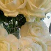 ヒメ日記 2026/04/01 00:03 投稿 初音 おふくろ