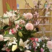 ヒメ日記 2026/04/02 10:24 投稿 初音 おふくろ