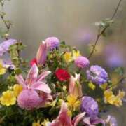 ヒメ日記 2026/04/03 00:01 投稿 初音 おふくろ