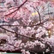 ヒメ日記 2026/04/04 10:47 投稿 初音 おふくろ
