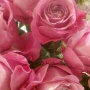 ヒメ日記 2026/04/09 00:28 投稿 初音 おふくろ