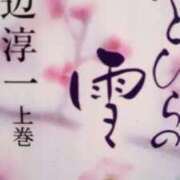 ヒメ日記 2026/04/10 11:03 投稿 初音 おふくろ