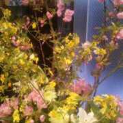 ヒメ日記 2026/04/14 10:45 投稿 初音 おふくろ