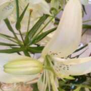 ヒメ日記 2026/04/20 10:08 投稿 初音 おふくろ