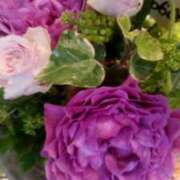 ヒメ日記 2026/04/21 14:30 投稿 初音 おふくろ