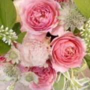 ヒメ日記 2026/05/21 10:27 投稿 初音 おふくろ