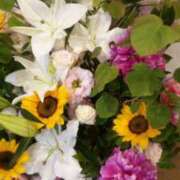 ヒメ日記 2026/06/06 00:37 投稿 初音 おふくろ