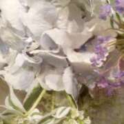 ヒメ日記 2026/06/08 10:32 投稿 初音 おふくろ