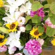 ヒメ日記 2026/06/17 09:52 投稿 初音 おふくろ