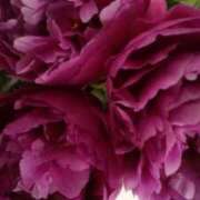 ヒメ日記 2026/06/20 09:35 投稿 初音 おふくろ