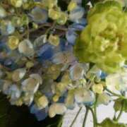 ヒメ日記 2026/06/23 00:21 投稿 初音 おふくろ