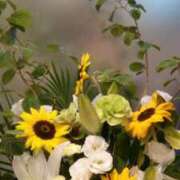 ヒメ日記 2026/07/02 00:25 投稿 初音 おふくろ