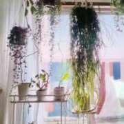 ヒメ日記 2026/08/31 11:06 投稿 初音 おふくろ