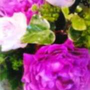 ヒメ日記 2026/10/10 00:17 投稿 初音 おふくろ