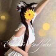 ヒメ日記 2026/03/27 15:13 投稿 ふうか Evolution 2nd