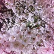 ヒメ日記 2026/04/08 15:18 投稿 ふうか Evolution 2nd