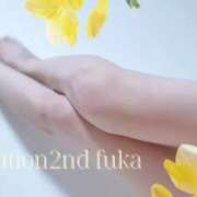 ヒメ日記 2026/04/12 07:03 投稿 ふうか Evolution 2nd