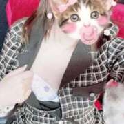 ヒメ日記 2025/09/20 19:28 投稿 しずく 静岡駅前ちゃんこ