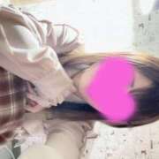 ヒメ日記 2025/12/01 11:58 投稿 しずく 静岡駅前ちゃんこ