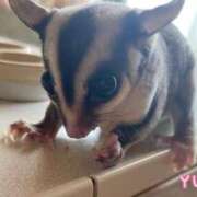 ヒメ日記 2025/07/21 13:03 投稿 ゆか 宮城多賀城ちゃんこ