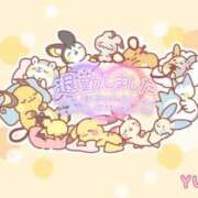 ヒメ日記 2025/09/10 01:12 投稿 ゆか 宮城多賀城ちゃんこ