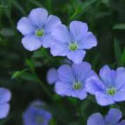 ヒメ日記 2025/10/16 12:45 投稿 のあ 素人系イメージSOAP 彼女感 宇都宮本館