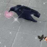 ヒメ日記 2025/12/02 10:04 投稿 のあ 素人系イメージSOAP 彼女感 宇都宮本館