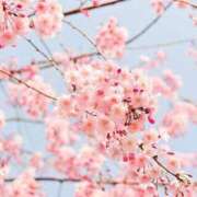 ヒメ日記 2026/02/23 18:35 投稿 のあ 素人系イメージSOAP 彼女感 宇都宮本館