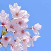 ヒメ日記 2026/04/07 12:17 投稿 のあ 素人系イメージSOAP 彼女感 宇都宮本館