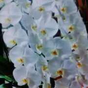 ヒメ日記 2025/12/07 00:59 投稿 みく ぐらんまま