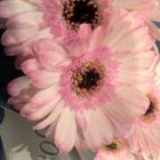 ヒメ日記 2025/12/09 08:37 投稿 みく ぐらんまま