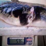 ヒメ日記 2025/12/12 23:52 投稿 みく ぐらんまま