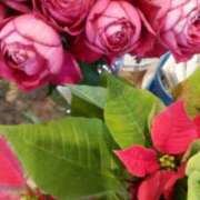 ヒメ日記 2025/12/17 00:13 投稿 みく ぐらんまま