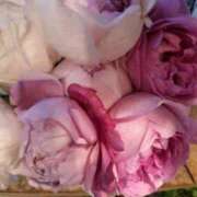 ヒメ日記 2025/12/20 00:55 投稿 みく ぐらんまま