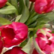 ヒメ日記 2026/01/16 23:50 投稿 みく ぐらんまま