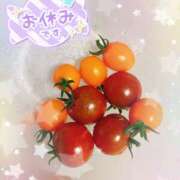 ヒメ日記 2025/07/26 21:43 投稿 じゅじゅ 栃木小山ちゃんこ