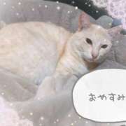 ヒメ日記 2025/08/02 03:14 投稿 じゅじゅ 栃木小山ちゃんこ