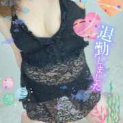 ヒメ日記 2025/08/11 02:07 投稿 じゅじゅ 栃木小山ちゃんこ