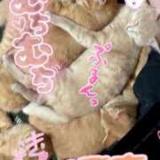 ヒメ日記 2025/08/25 13:30 投稿 じゅじゅ 栃木小山ちゃんこ