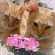 ヒメ日記 2025/09/02 01:27 投稿 じゅじゅ 栃木小山ちゃんこ