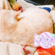 ヒメ日記 2025/09/12 04:40 投稿 じゅじゅ 栃木小山ちゃんこ