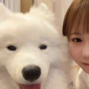 ヒメ日記 2025/08/22 21:08 投稿 かなの【経験極浅アイドル美女】 STELLA NEXT－ステラネクスト－